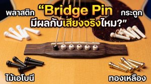 Bridge Pin มีผลกับเสียงกีต้าร์ไหม วัสดุแต่ละแบบให้เสียงต่างกันยังไง
