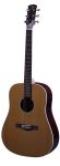 Ayers Guitar Premium Series - D-01e