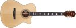 Guild GSR F-30CE Cocobolo