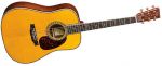 Martin D-180 (Limited Editions)