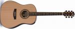 Maton Amazonian, Maton Amazonian Dreadnought Acoustic Guitar