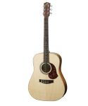 Maton CW80