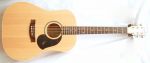Maton M225