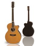 Maton Number 48 Custom Shop