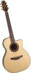 Takamine 2006 Limited Edition