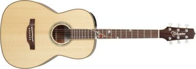 Takamine Limited 2013 Peak