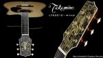 Takamine Limited Edition 2010