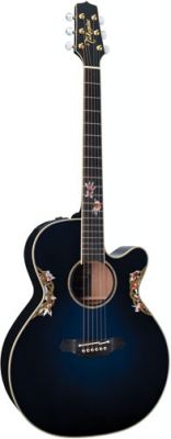 Takamine Limited Edition 2011 (Iki)