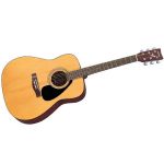 Yamaha F310